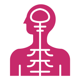 Nerve Conduction Study